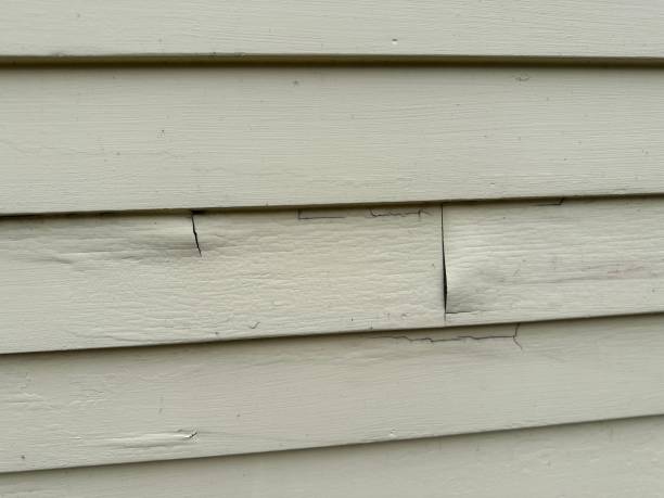 Best Siding for Commercial Buildings  in Jean Fitte, LA